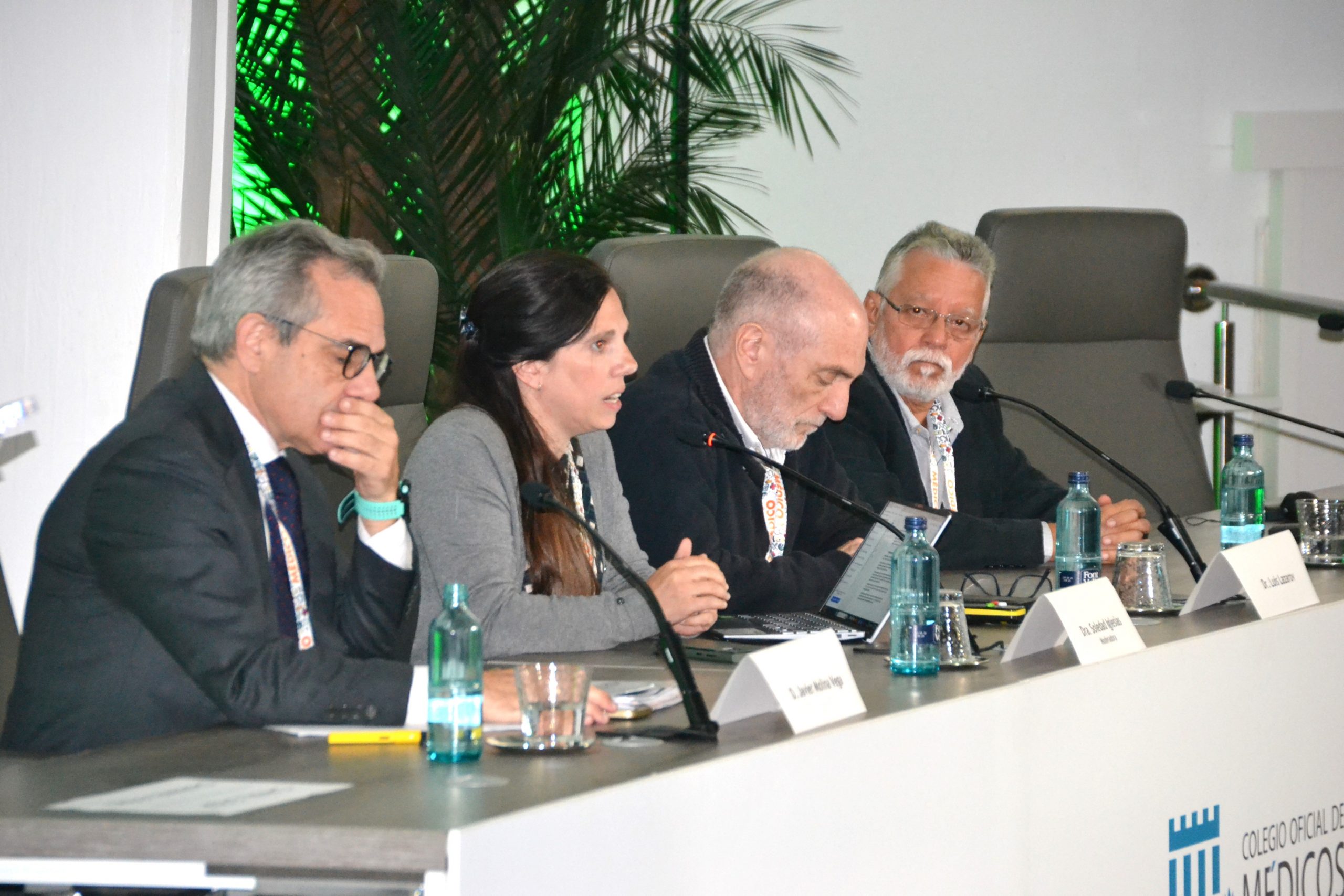 Los ponentes de la mesa; Javier Molina, Soledad Iglesias, Luis Lazarov y Waldir Cardoso. 