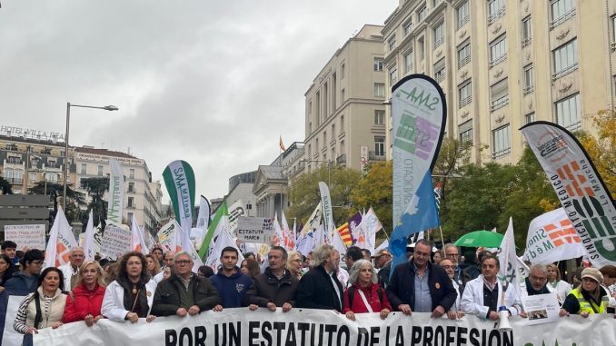 Momento de la manifestación del 15 de noviembre.
